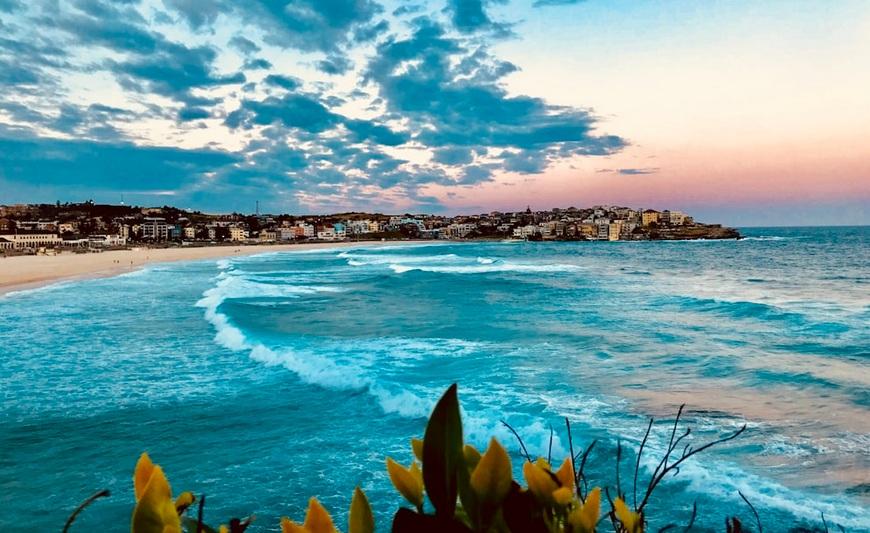 The blue sea during daytime at Bondi Beach, Australia.