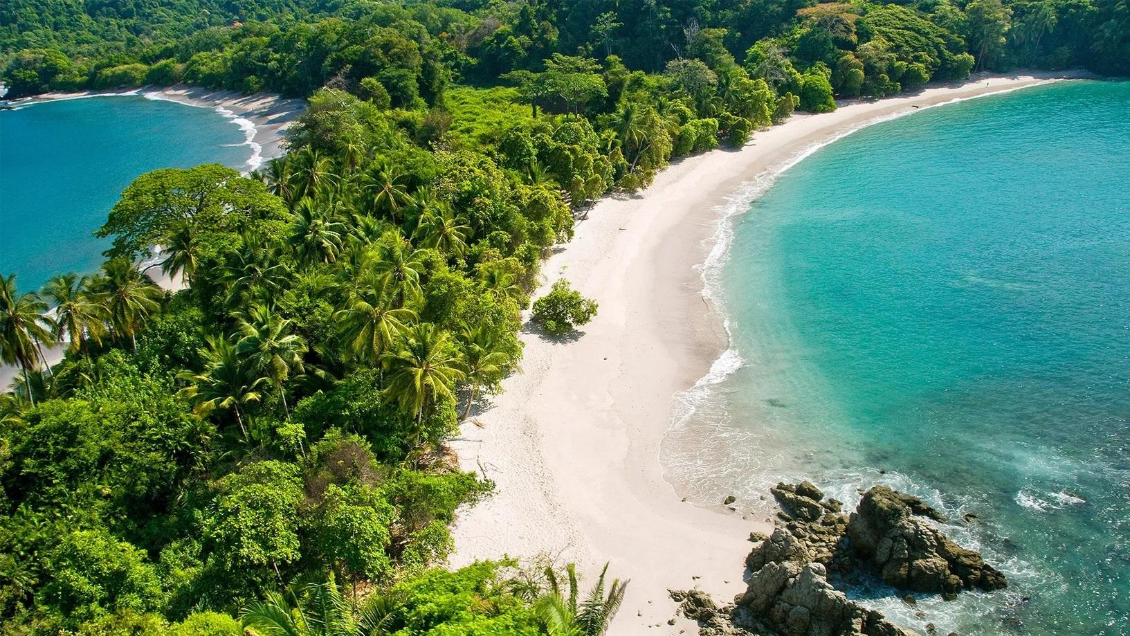 Driftwood on brown sand in Provincia de Puntarenas, Playa Hermosa, Costa Rica