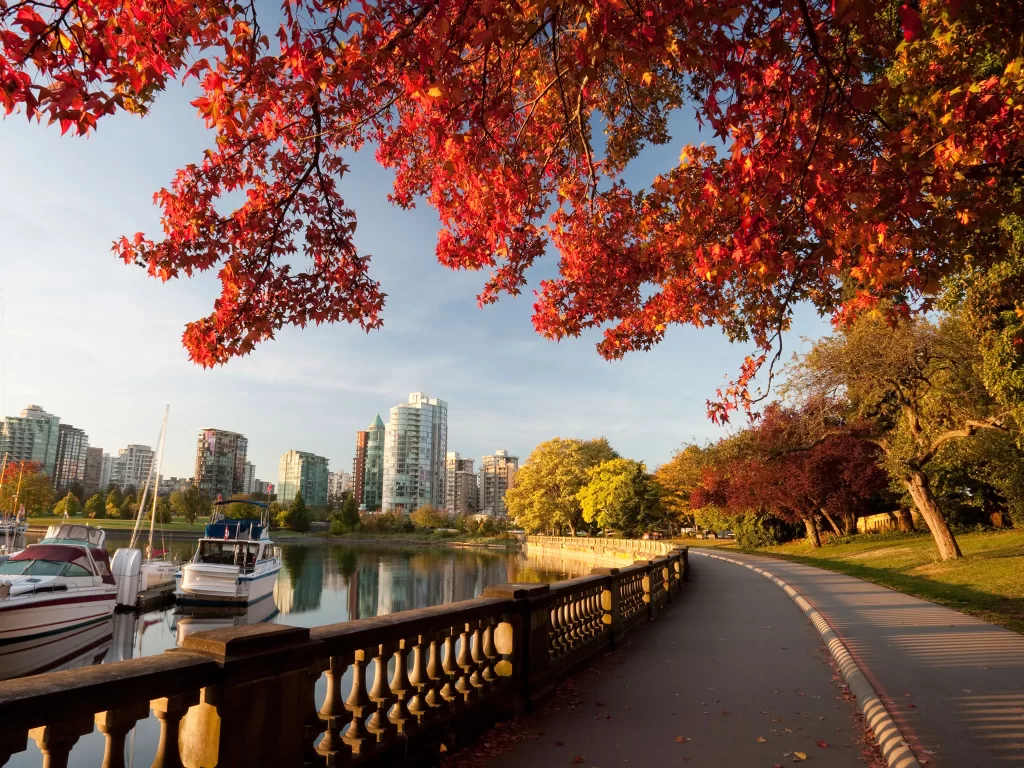 Cheapest Way to move to Canada